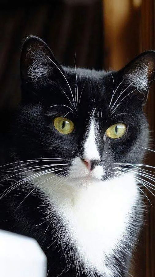 g nameTest 31-3 Ta long nameTest 31-3 Ta long nameTest 31-3 Ta long nameTest 31-3 Ta long nameTest 31-3 Ta long nameTest 123344556 464565 54646456 45654465465 31-3 Ta long nameTest 31-3 Ta long nameTest 31-3 Ta long nameTest 31-3 Ta